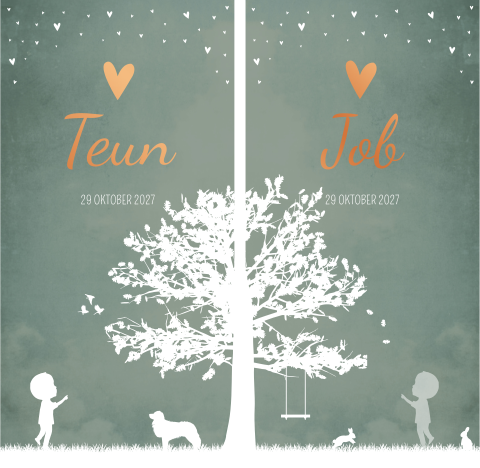 Rouwkaart Geboortekaartje Tweeling Jongens Silhouet