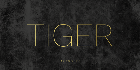 Geboortekaartje stoer zwart goudfolie