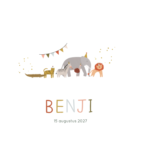 Geboortekaartje Jongen Feestje Dieren Illustratie