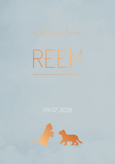 Geboortekaartje Jongen Leeuwtjes Blauw Goudfolie