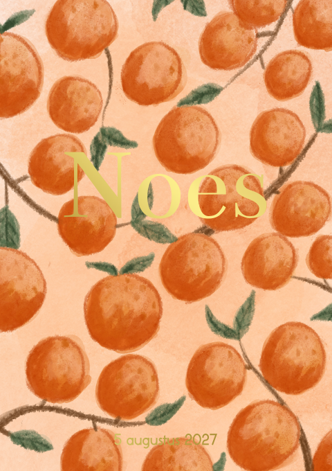 Geboortekaartje Meisje sinaasappels fruit