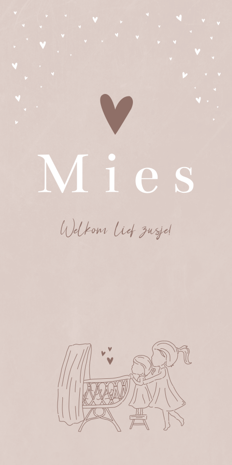 Geboortekaartje Meisje Mies