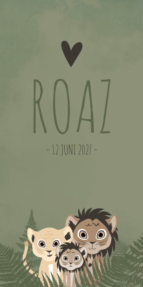 Geboortekaart Jongen Leeuwen Stoer