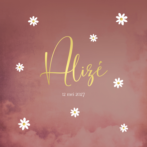 Geboortekaartje Meisje Madeliefjes Roze Gewolkt