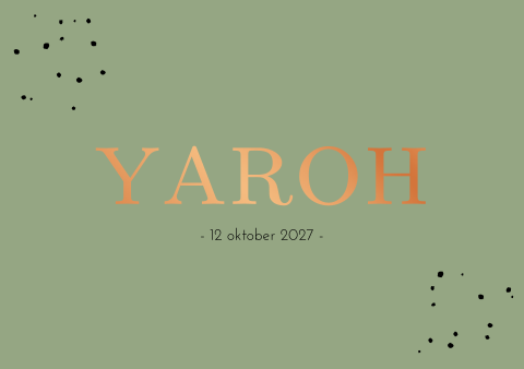 Geboortekaartje jongen stoer