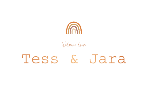 Geboortekaartje Tweeling Wit Regenboog Koperfolie