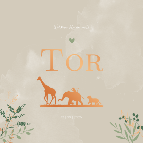 Geboortekaartje Dieren Jongen  Jungle Savanne