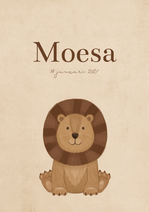 Geboortekaartje Jongen leeuw