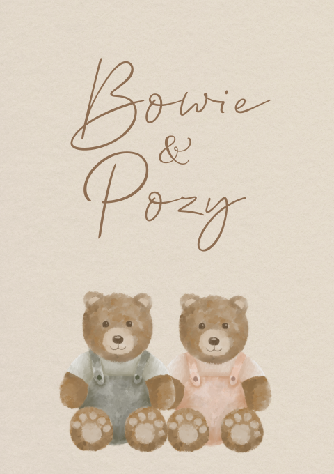 Geboortekaartje Tweeling Bowie en Pozy Beer