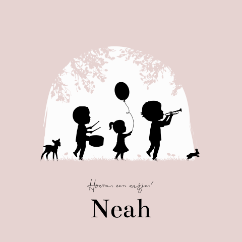 Geboortekaartje Meisje Broers Muziek Feest