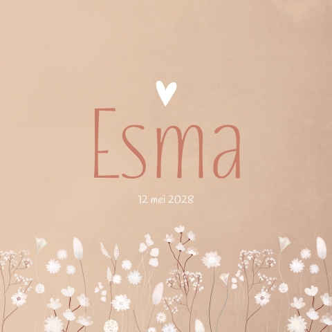 Geboortekaartje Meisje droogbloemen Zalm Roze