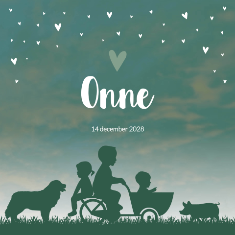 Geboortekaartje Broertje Zonsondergang Bakfiets Boerderij