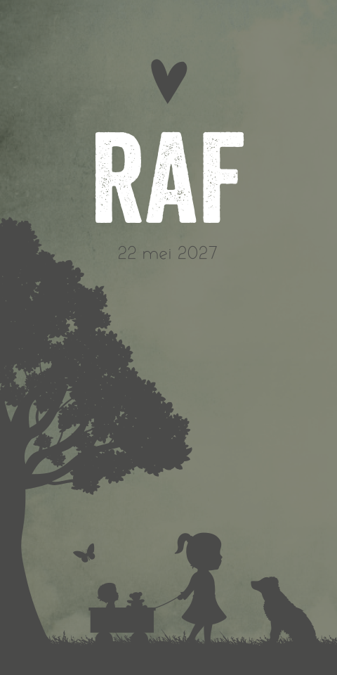 Geboortekaartje Jongen Bolderkar Zus Illustratie