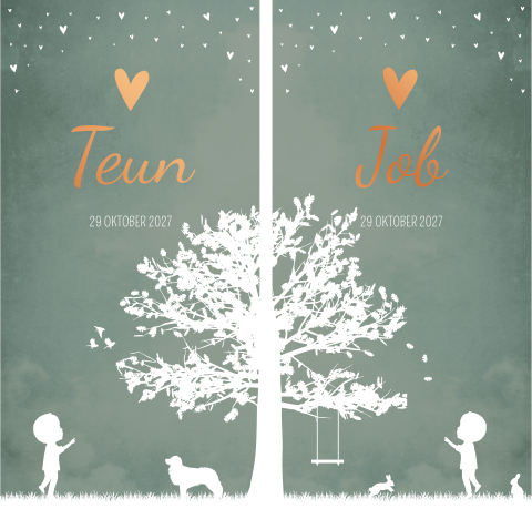 Geboortekaartje Tweeling Jongens Dubbel Silhouet