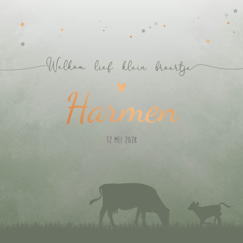 Geboortekaartje Jongen Trekker Koeien Boerderij