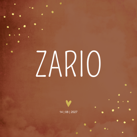 Geboortekaartje jongen roestbruin goudfolie