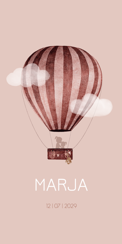 Geboortekaartje Meisje Zusje Luchtballon Silhouetten