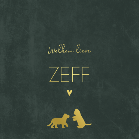 Geboortekaartje jongen Zeff