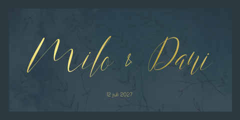 Geboortekaartje Tweeling Blauw Folie Takjes