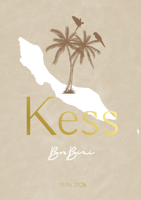 Geboortekaartje Meisje Curaçao Eiland Palmboom