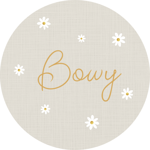 Geboorte raamsticker Bowy