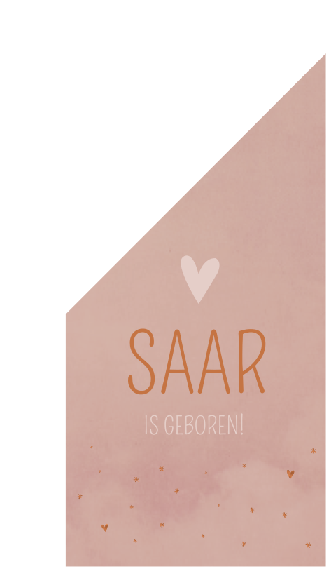 Vlag L Meisje Koper Roze Saar