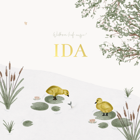 Geboortekaartje Meisje Eendjes Waterverf