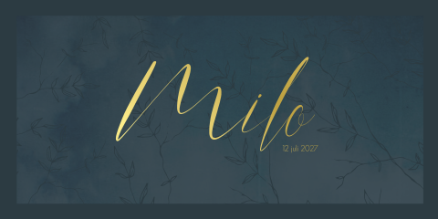 Geboortekaartje Jongen Blauw Folie Takjes