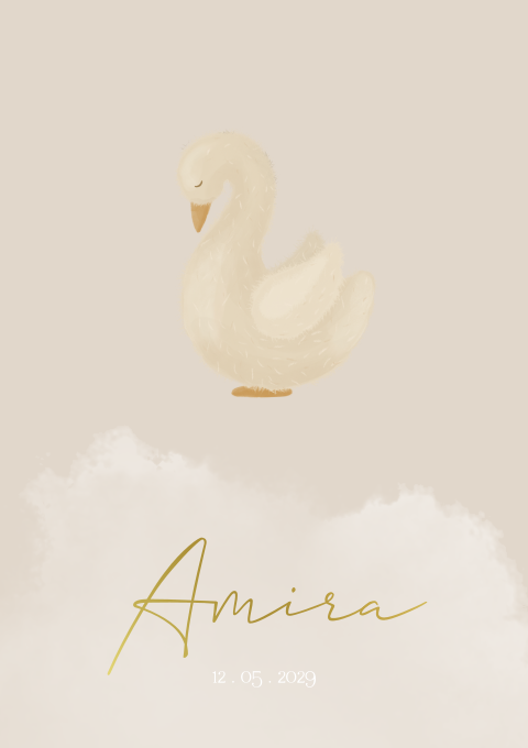 Geboortekaartje Wolkjes Zwaantje Gans Vogel