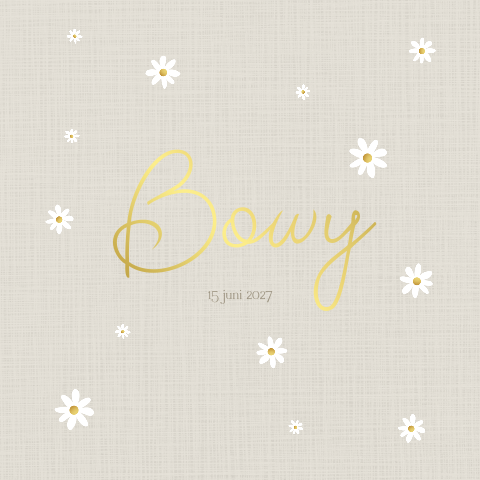 Geboortekaartje Meisje Madeliefjes