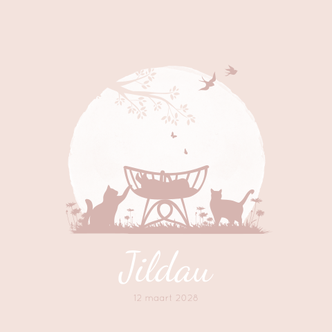 Geboortekaartje Meisje Wiegje Kat Poes