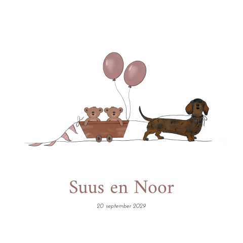 Geboortekaartje tweeling meisje hond teckel bolderkar