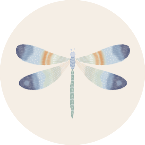 Sluitzegel jongen libelle