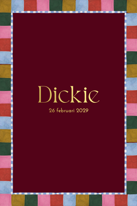 Geboortekaartje meisje kleurrijk geblokt frame