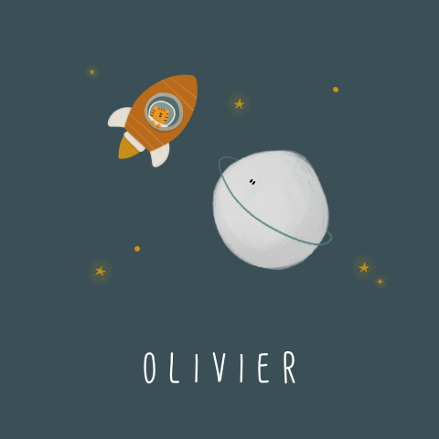 Geboortekaartje ruimte tijger raket maan sterren