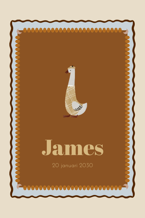 Geboortekaartje jongen boho eclectic gans