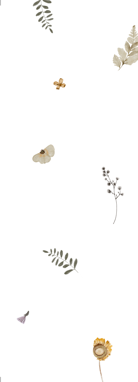 Kalkpapier omslag trouwkaart droogbloemen