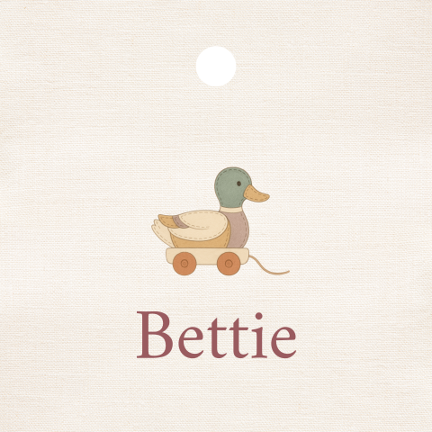 Doopsuiker label vierkant meisje speelgoed eend wagonnetje