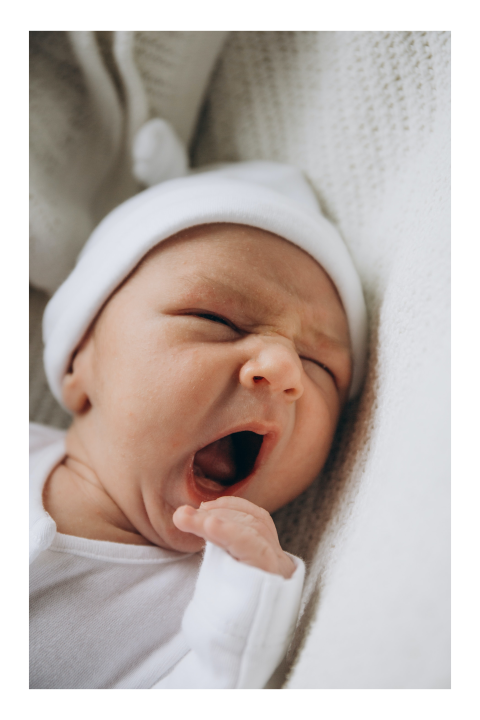 Fotolabels geboorte staand rechthoek