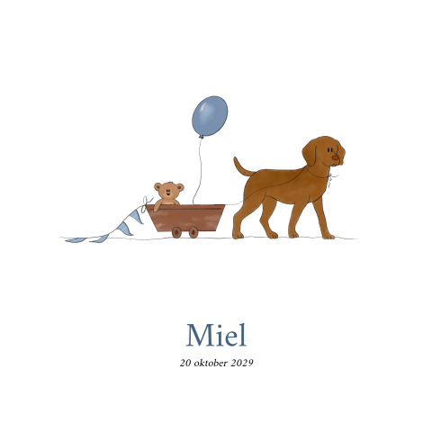 Geboortekaartje jongen vizsla hond bolderkar
