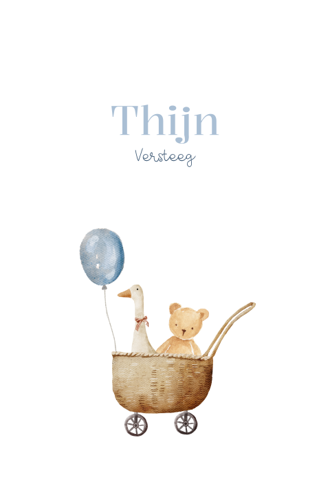 Lief geboortekaartje jongen teddybeer knuffel gans karretje
