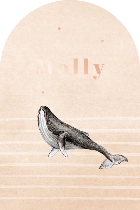 Geboortekaartje meisje met walvis, streepjes en hartjes