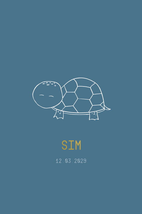 Geboortekaartje jongen blauw schildpad