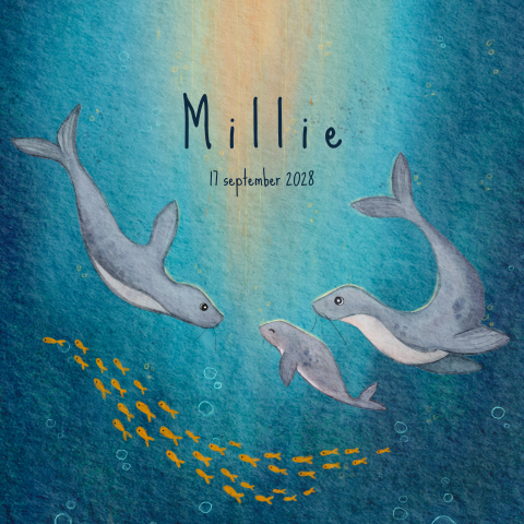 Poster kinderkamer zeehonden visjes