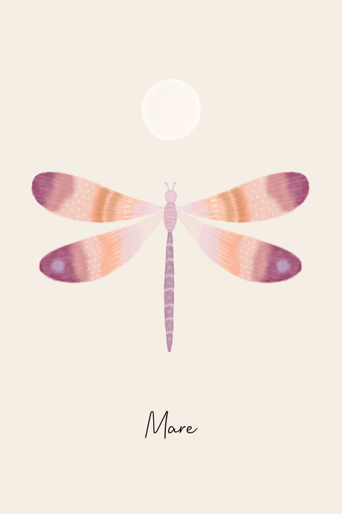 Geboortekaartje meisje kleurrijke libelle