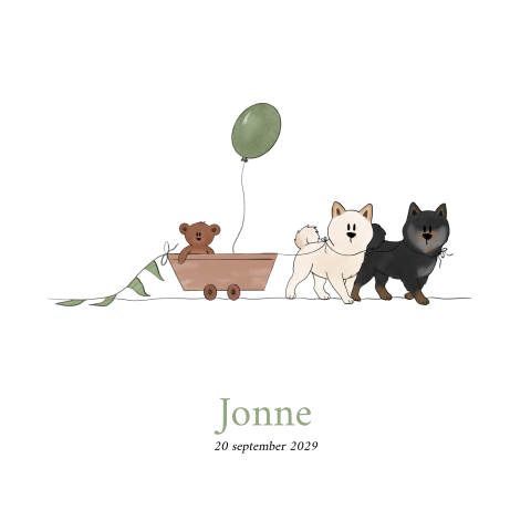 Geboortekaartje jongen Shiba Inu hond bolder