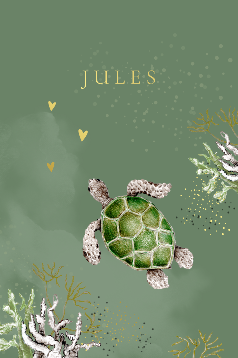 Groen geboortekaartje jongen met lieve schildpad