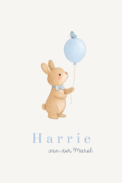 Geboortekaartje jongen lente konijntje ballon