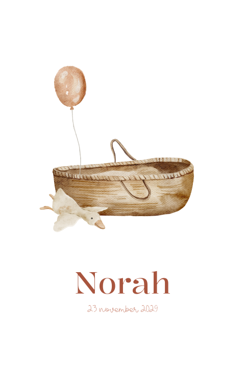 Lief geboortekaartje meisje mozesmandje knuffel gans ballon
