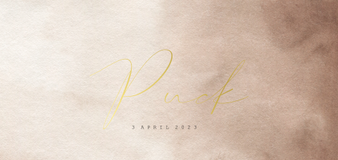 Geboortekaartje panorama met goudfolie